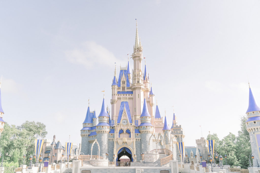 Disney World Castle by Brittany Powell Photography